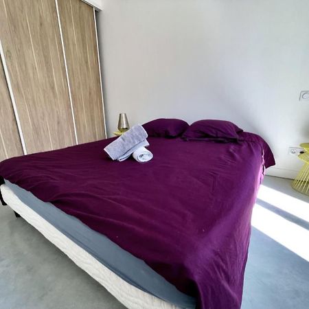 Apartamento Bel Ecrin T2 35M2 Gare/Centre Grenoble Exterior foto
